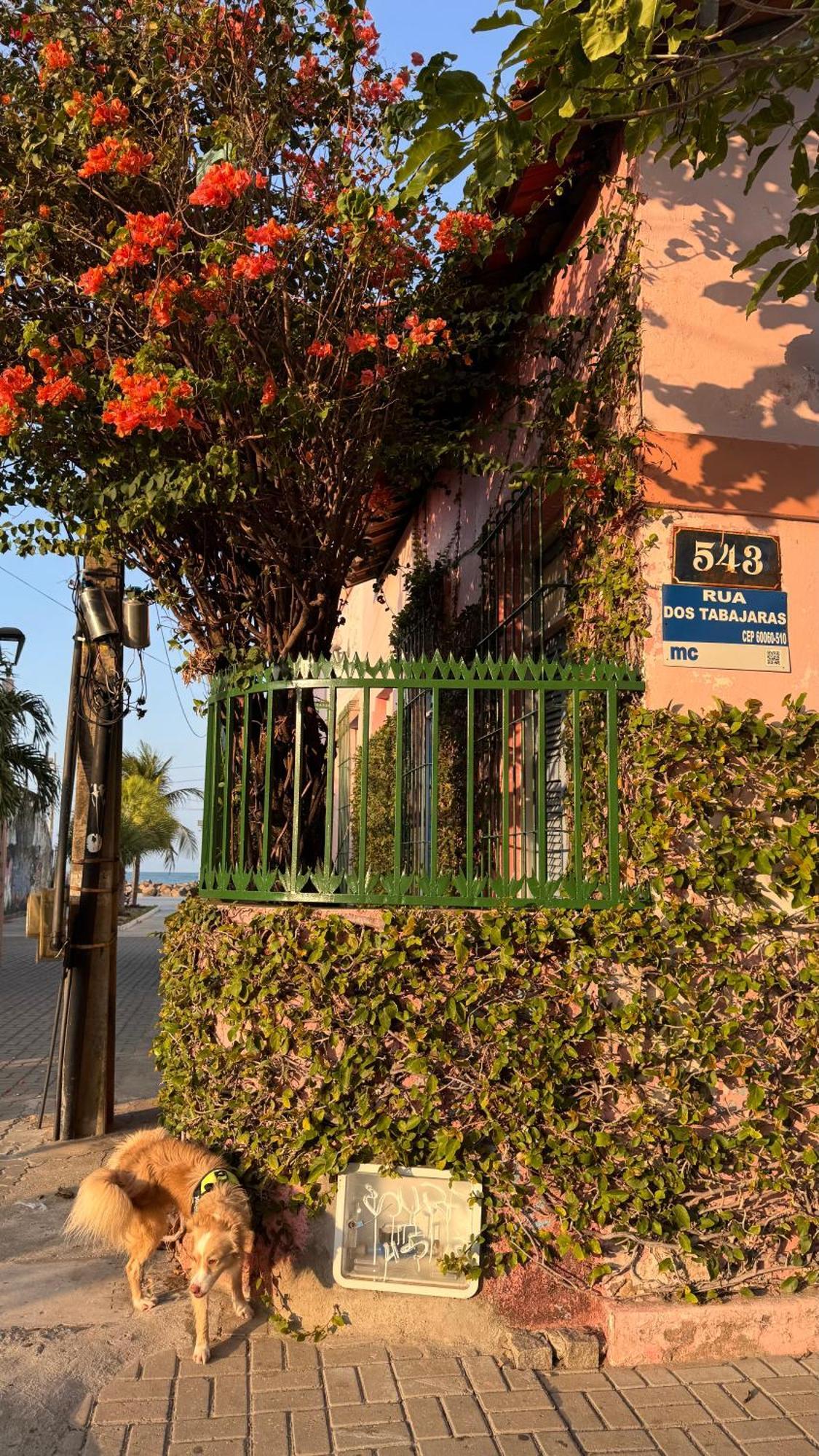 Jardim Iracema Apartment Fortaleza  Bagian luar foto